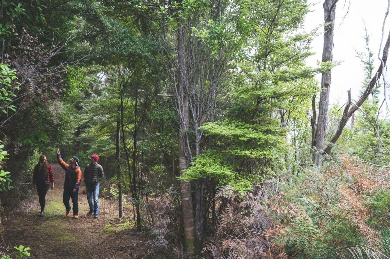 نزل تي أناوفي Lone Moose Backpackers المظهر الخارجي الصورة