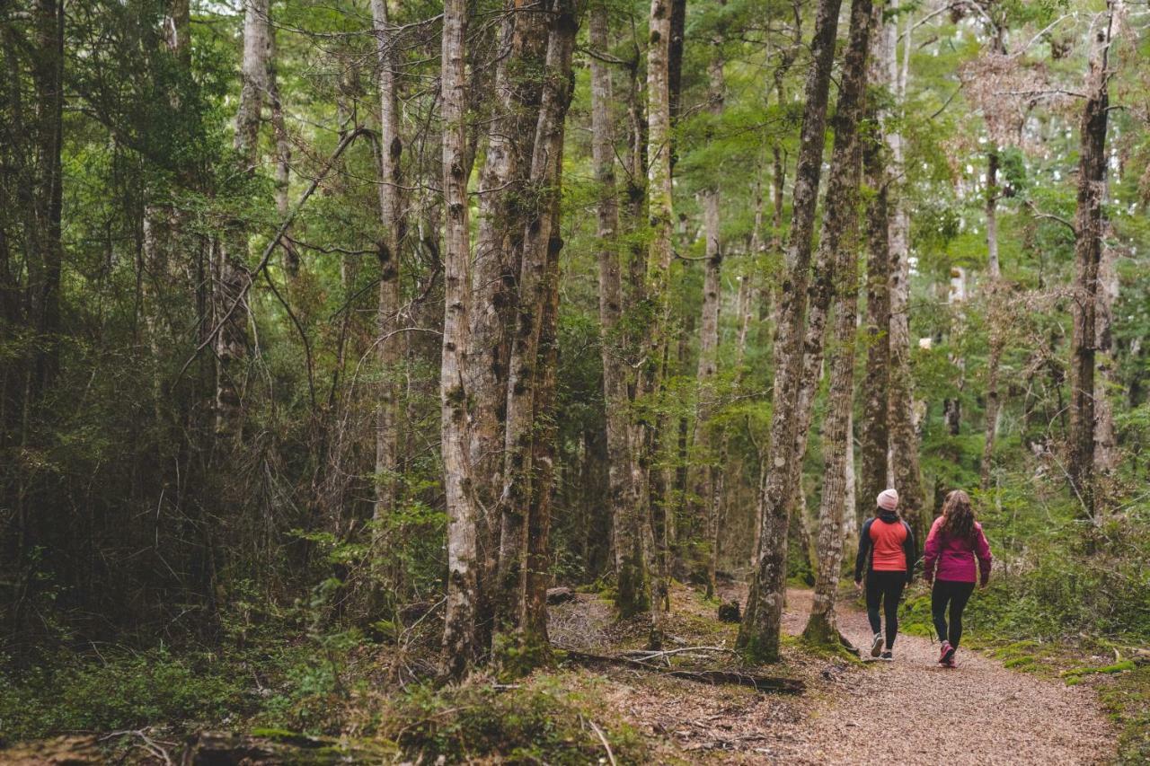 نزل تي أناوفي Lone Moose Backpackers المظهر الخارجي الصورة
